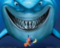 nemo1984