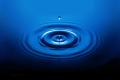 avid_liquid