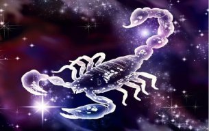 scorpion12