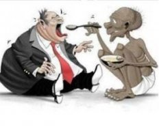 shareholders