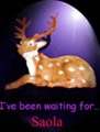 Saola