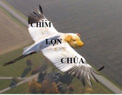 ChienbinhCK5