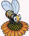 Queen-bee
