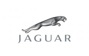black.jaguar696