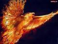 angeleveey