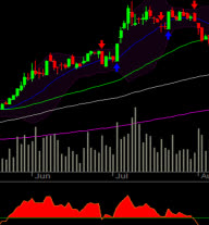 trueinvestor