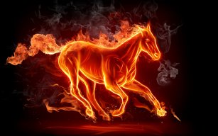 kahn_lin