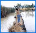 broker_anhphan
