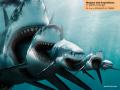 1predators