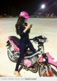bach gia trang