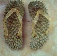 BoCongAnh