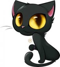 black_meo_meo