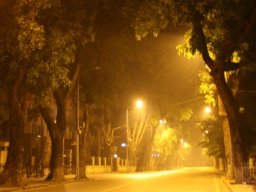 Thanh92