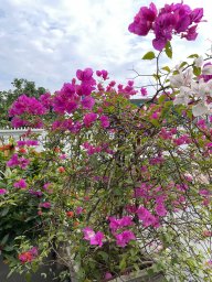 duytrinh85