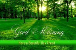 Phuong_Hoang9