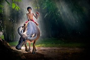 thevinh128