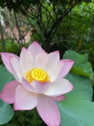 nguyenvantan2503