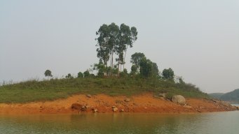 duonganhduc78