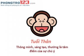 bao905288
