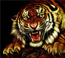 hungwwr