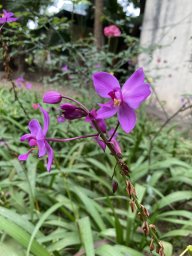 xuantien0887