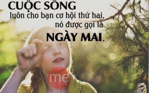 Phuongchp