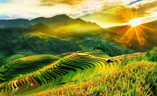 trinhdinhdong