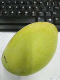 AkiraTran