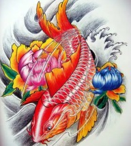 Cyprinus_carpio