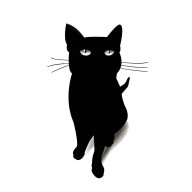 BlackCatt