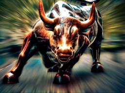AnInvest