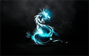 mr_ngo