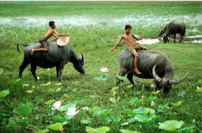 nguyenductri20
