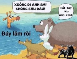 quangln13
