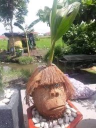 Giang78