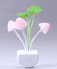 phongmckern