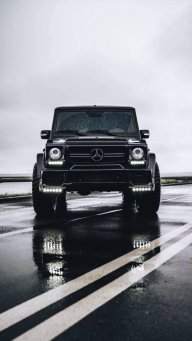 DLM88