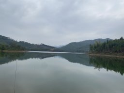 MrJinCheng