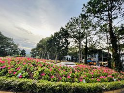 annhien2501