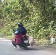 hoangngocbach