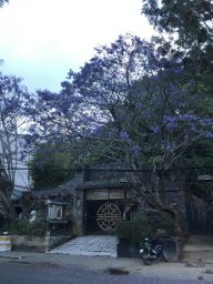 Binhkobiet