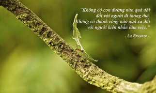 annhien123