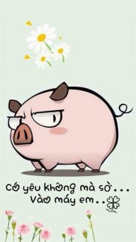 Phamdung232