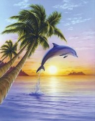 DolphinCap