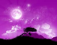 thanh638