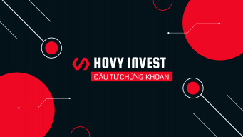HOVYINVEST