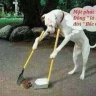 bitter_failure