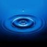 avid_liquid