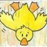 duckwater