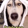 JackDaiHiep